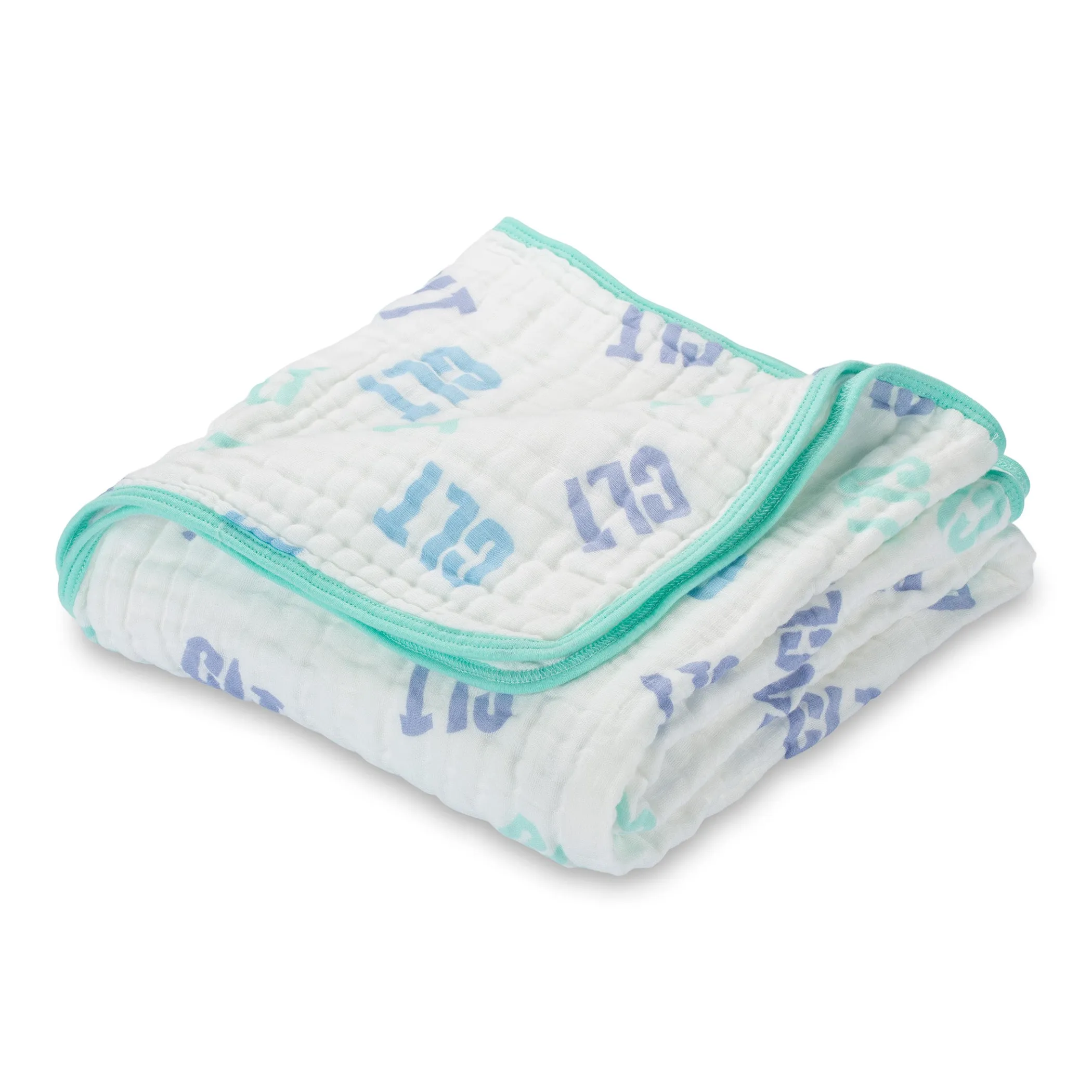 1165-788934147469.0.td_size_1 CLT - Charlotte, NC Muslin Quilt - Image 1