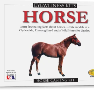 Eyewitness Kit