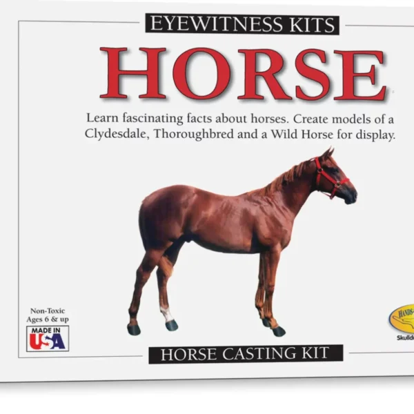 Eyewitness Kit