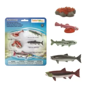Life Cycle Of A Salmon Figurine