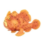 Frogfish Figurine