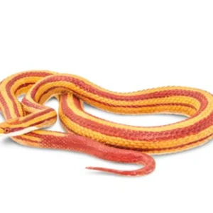 Corn Snake Figurine