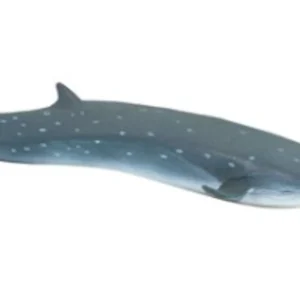 Sei Whale Figurine