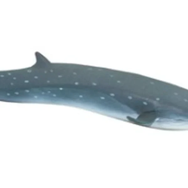 Sei Whale Figurine