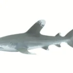 Oceanic Whitetip Shark Figurine