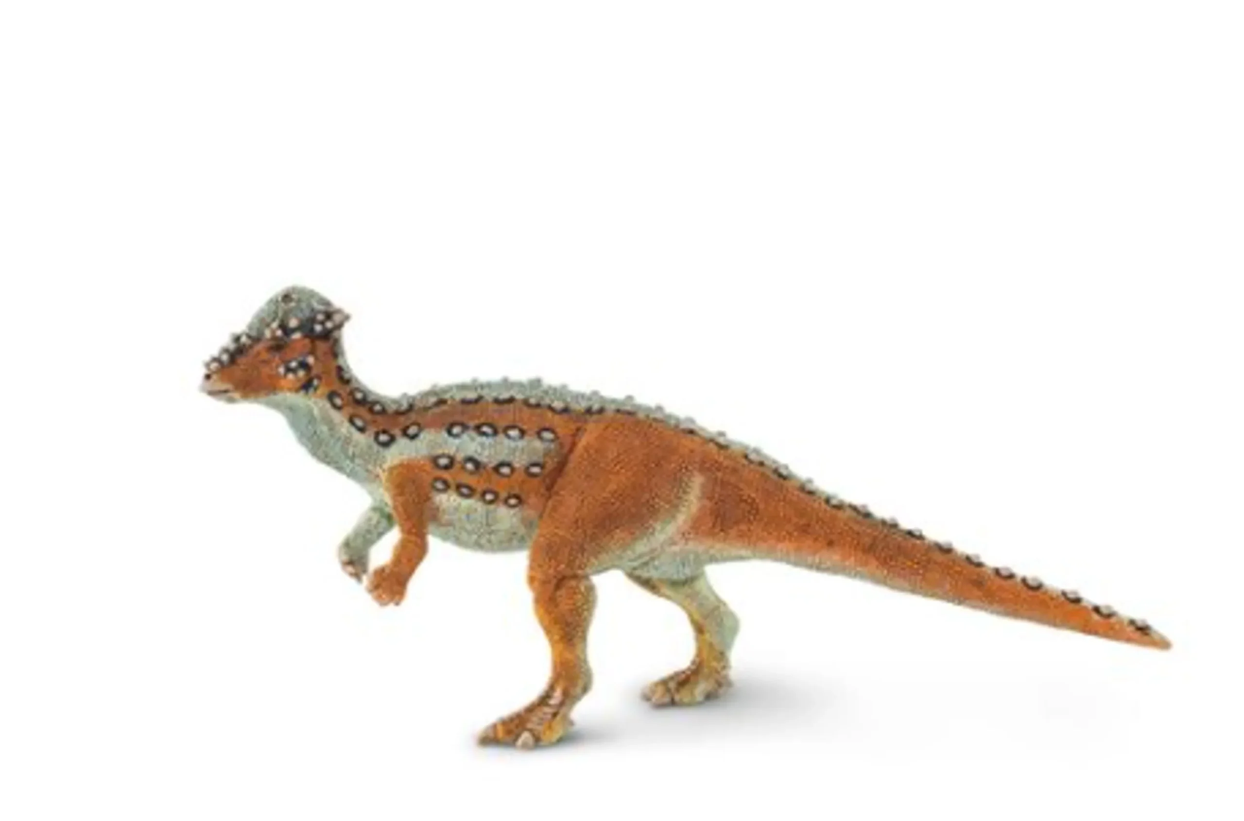 95866004118.0.td_size_1 Pachycephalosaurus Figurine - Image 1