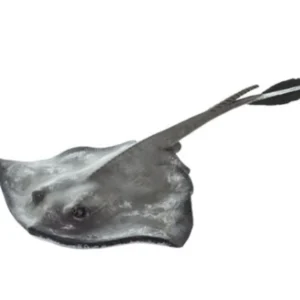 Sting Ray Figurine