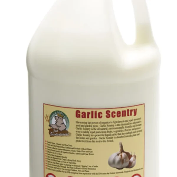 Just Scentsational Garlic Scentry One Gallon