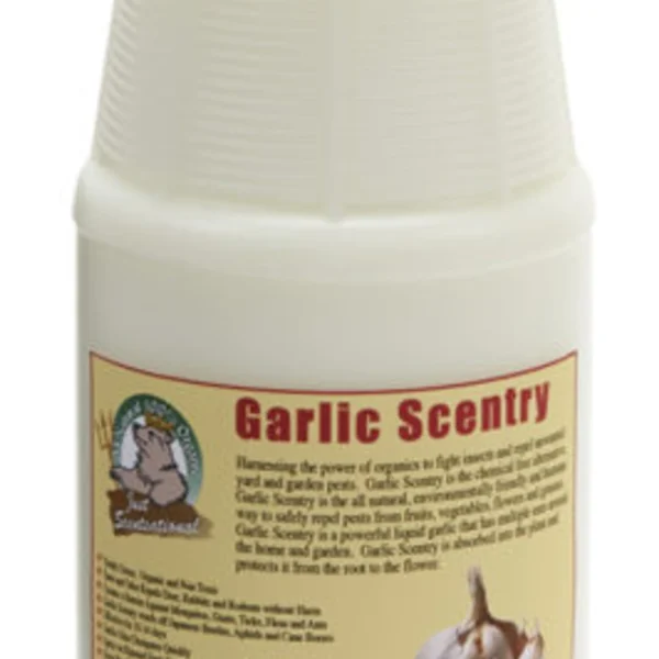 Just Scentsational Garlic Scentry One Quart