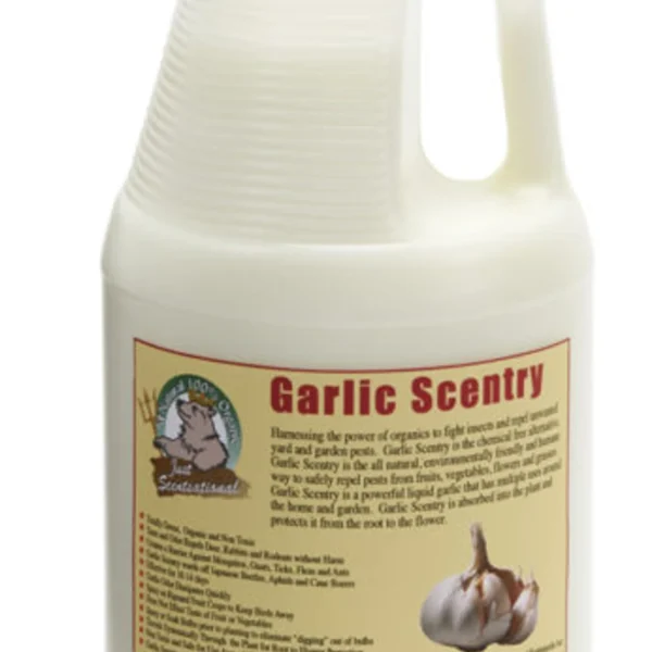 Just Scentsational Garlic Scentry Half Gallon