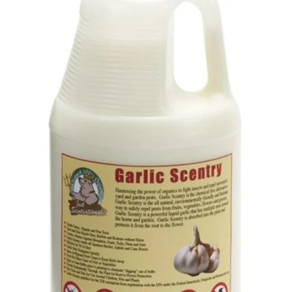 Just Scentsational Garlic Scentry Concentrate Half Gallon