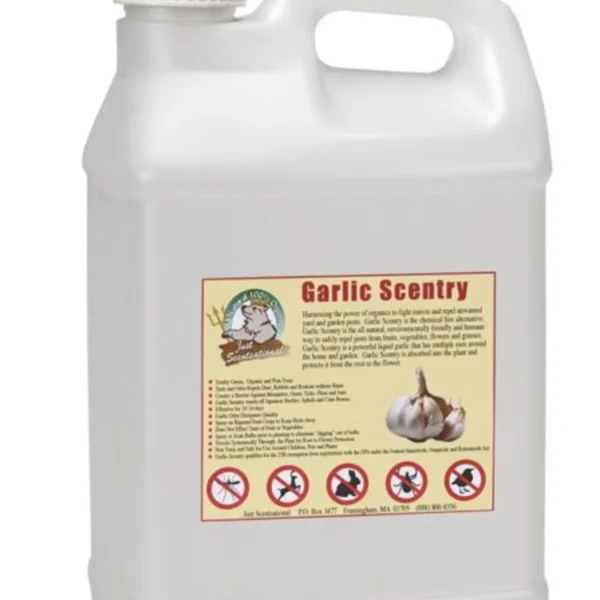 Just Scentsational Garlic Scentry Concentrate 2.5 Gallon