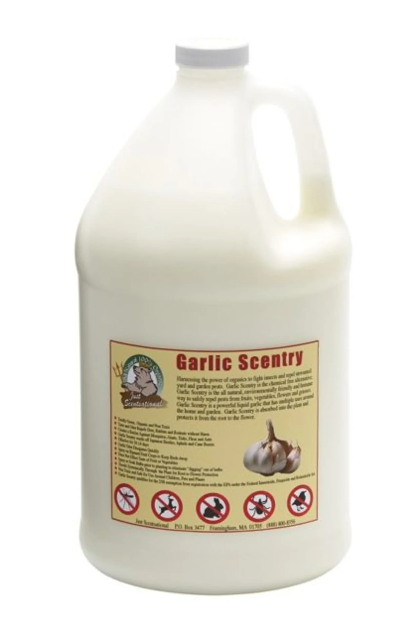 632272821825.0.td_size_1-1.webp Just Scentsational Garlic Scentry Concentrate One Gallon - Image 1