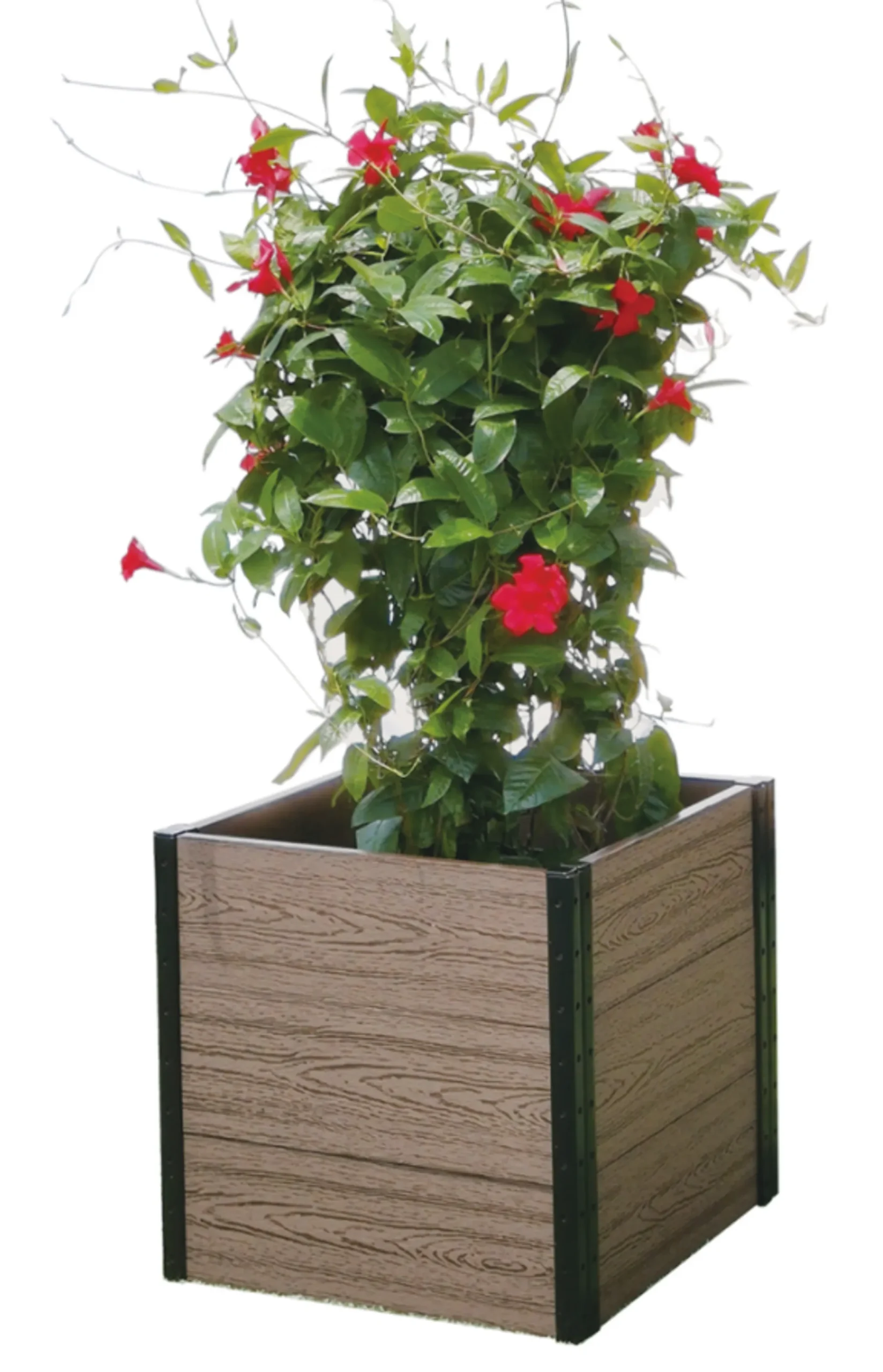 850002651478.0.td_size_1 Cornerstone Planter Bed 21" L x 24" W x 21" H - Image 1